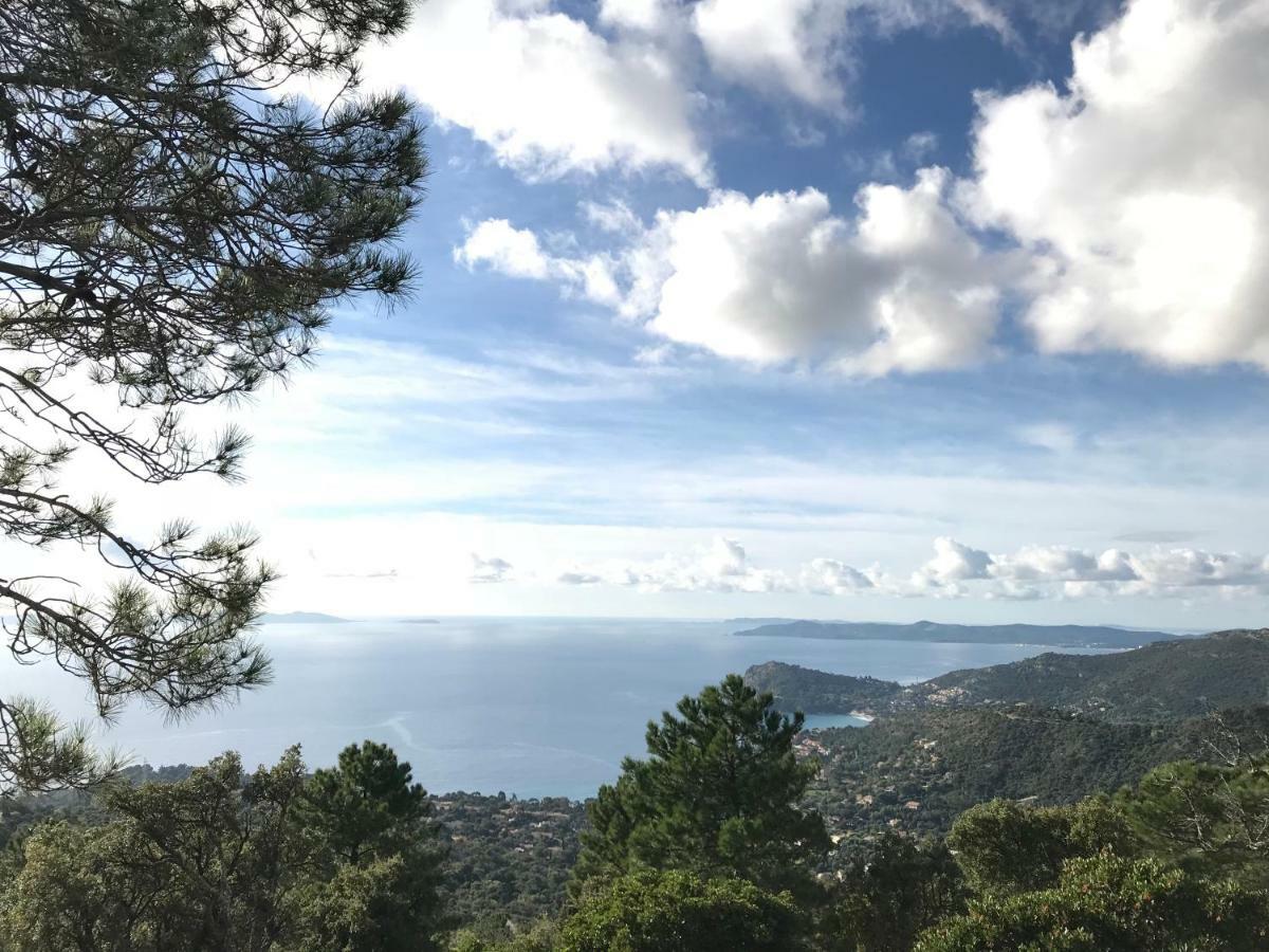 T2 Moderne Avec Jardin Διαμέρισμα Le Le Rayol-Canadel-sur-Mer Εξωτερικό φωτογραφία